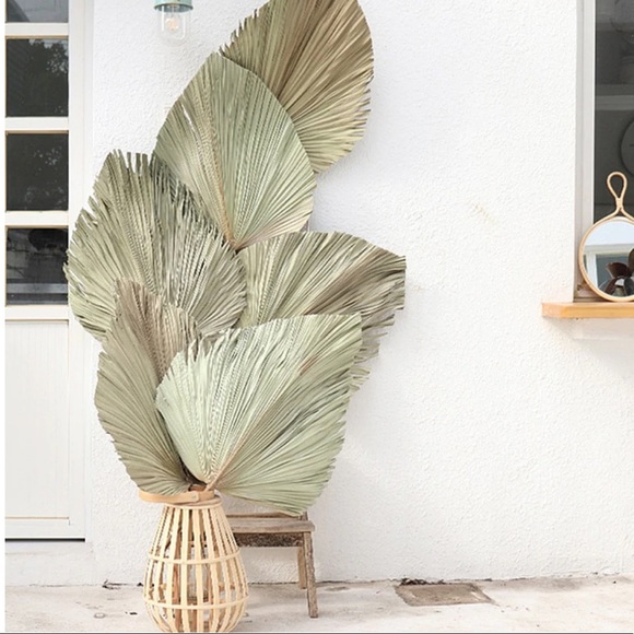 🌴 {10 Pack total }VeryLarge Organic Real Palm Leaves & Small Palm Leaves 🌴 - Picture 5 of 17